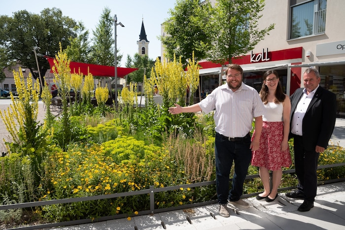 Mehr Grün – wie hier in Lanzenkirchen – kühlt vor Ort.