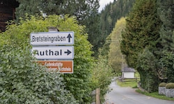 Im Bretsteingraben wurden die menschlichen Überreste entdeckt.