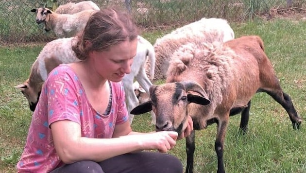 Tierheim-Helferin Moni kümmerte sich um die fünf Schafe.