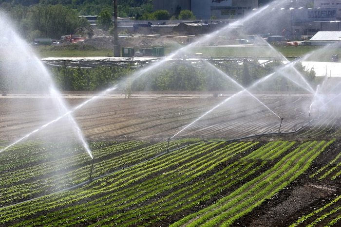 Die Trockenheit ist auch in der Landwirtschaft eine Herausforderung.
