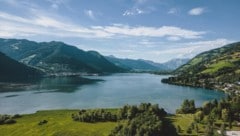 Eine der toten Katzen trieb im Zeller See.