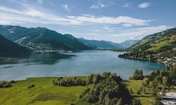 Eine der toten Katzen trieb im Zeller See.