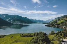 Eine der toten Katzen trieb im Zeller See.
