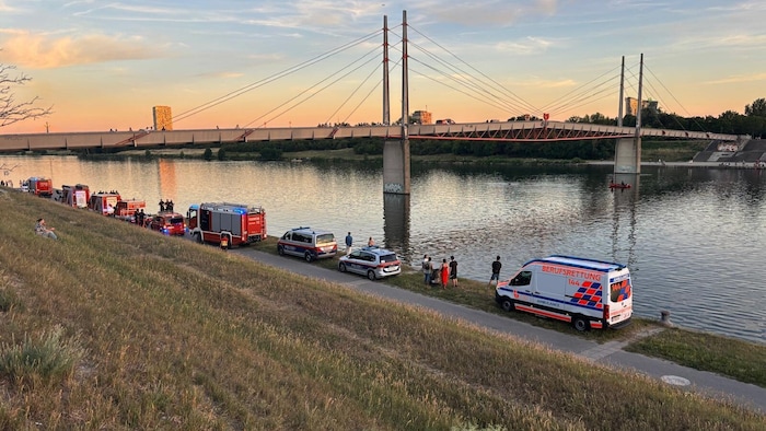 Großer Einsatz bei der Kaisermühlenbrücke an der Neuen Donau