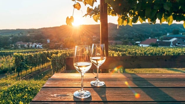 Langenlois ist für Top-Weine bekannt.