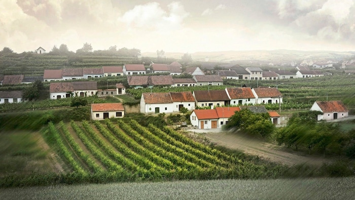 In Terrassen angelegt: die Kellergasse von Mittelberg, dem höchstgelegenen Weinort des Kamptals.