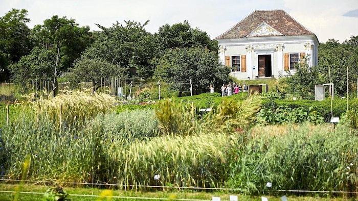 Der barocke Pavillon im Arche-Noah-Schaugarten ist denkmalgeschützt und kann für Feste gemietet ...