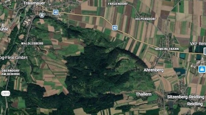 Der Wald zwischen Traismauer und Sitzenberg-Reidling ist Teil des Windkraft-Ausbau Plans in ...