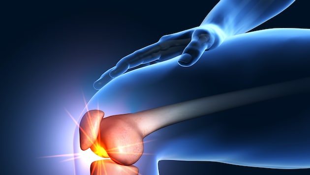 Das Knie muss gleichzeitig stark und beweglich sein. Deshalb ist es so anfällig für Probleme.