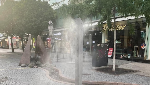 Beschattung durch Bäume ist eine der wichtigsten Maßnahmen in urbanen Räumen.