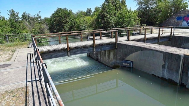 The three men went under while stand-up paddleboarding on the Marchfeld Canal. They were rescued ...