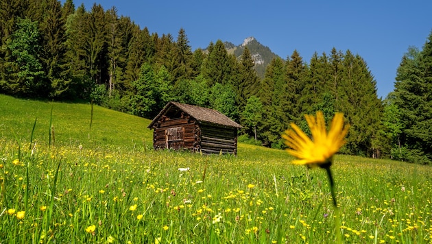 Mit der Gesetzesnovelle haben die Vorarlberger Naturschützer keine große Freude.