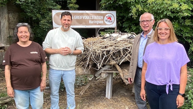 Bestsellerautor Roman Klementovic ist Pate für vier Storchenbabys in der Greifvogelstation ...