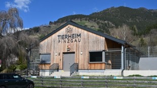 Tierschützer sehen im Tierheim Pinzgau das Tierwohl in Gefahr: Das sei aus der Luft gegriffen, ...