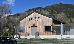 Tierschützer sehen im Tierheim Pinzgau das Tierwohl in Gefahr: Das sei aus der Luft gegriffen, ...