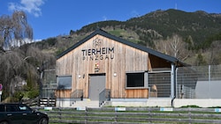 Tierschützer sehen im Tierheim Pinzgau das Tierwohl in Gefahr: Das sei aus der Luft gegriffen, ...