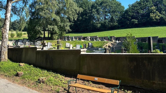 Der Borkenkäfer-Befall sollte beseitigt werden. Auch die dichten Wurzeln wurden für den Friedhof ...
