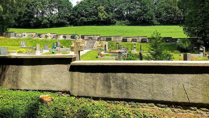 Vor und auf dem Friedhofsgelände fehlen nun viele der einstigen Bäume. „Das war einst der ...