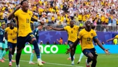 Der 2:1-Sieg Ecuadors löste Partystimmung in der Heimat aus.