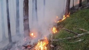 Waldbrände können verheerende Ausmaße annehmen. 
