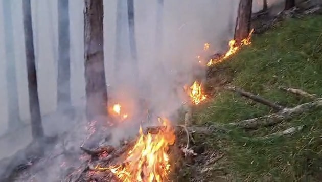 Waldbrände können verheerende Ausmaße annehmen.