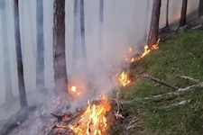 Waldbrände können verheerende Ausmaße annehmen. 