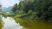 Der Hintersee schimmert derzeit gelb...