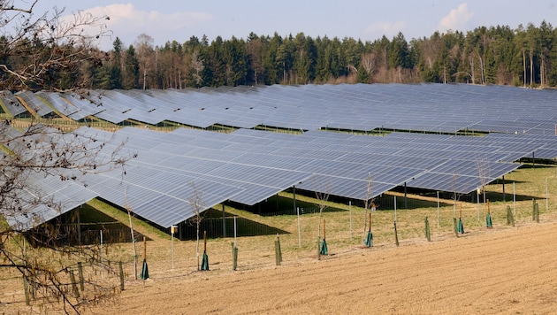 Erneuerbare Energie wie hier vom Solarpark Dobl-Zwaring deckt mittlerweile 40 Prozent des ...