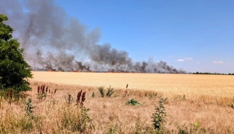 Zwischen dem Wiener Flughafen und der B10 brannten etwa 35 Hektar Feld und zwei ...