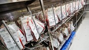 So werden die Blutkonserven in Tirol aufbewahrt.