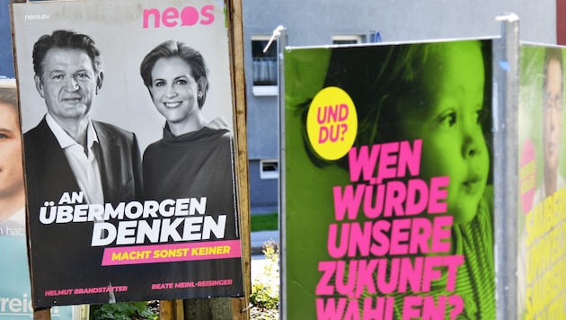 Wahlplakate zur Nationalratswahl 2019 (Archivbild)