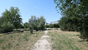 Zur Tat kam es bei der Abenteuerwiese im Wiener Bezirk Donaustadt
