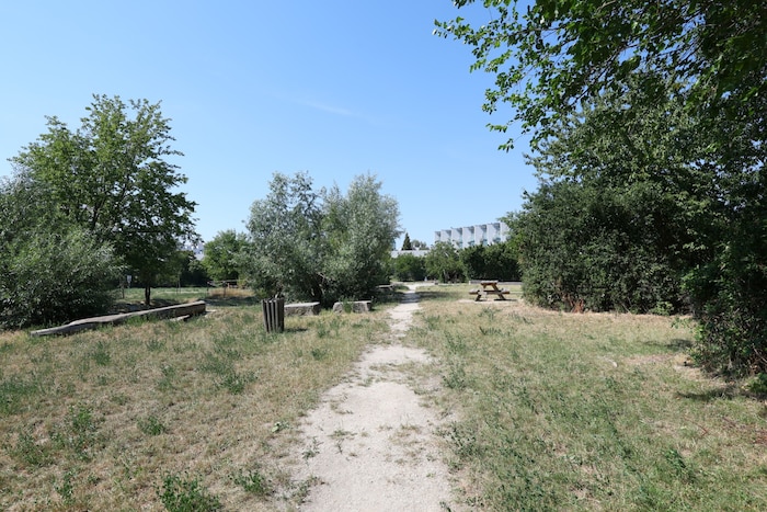 Zur Tat kam es bei der Abenteuerwiese im Wiener Bezirk Donaustadt
