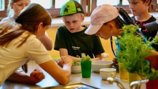 Beim Abschlussfest der Partnerschulen gab es spannende Mitmachstationen.