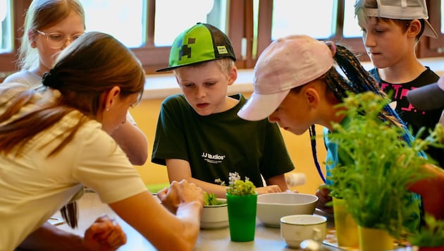 Beim Abschlussfest der Partnerschulen gab es spannende Mitmachstationen.