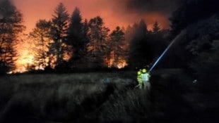 Seit dem späten Sonntagabend versuchen rund 200 Feuerwehrleute, den Flammen Einhalt zu gebieten.