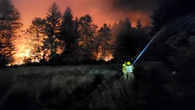 Seit dem späten Sonntagabend versuchen rund 200 Feuerwehrleute, den Flammen Einhalt zu gebieten.