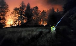Seit dem späten Sonntagabend versuchen rund 200 Feuerwehrleute, den Flammen Einhalt zu gebieten.