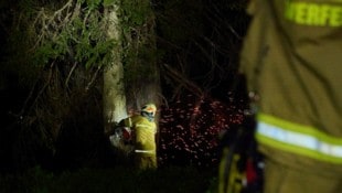 Gleich drei Bäume wurden in der Nacht auf Montag von Blitzen in Brand gesteckt. Im Bild die ...