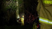 Gleich drei Bäume wurden in der Nacht auf Montag von Blitzen in Brand gesteckt. Im Bild die ...