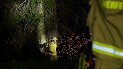 Gleich drei Bäume wurden in der Nacht auf Montag von Blitzen in Brand gesteckt. Im Bild die ...