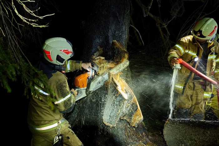Um den Brand zu stoppen, musste der Baum gefällt werden.