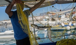 Diesem Fischer sind vor Kreta zwei Hasenkopf-Kugelfische ins Netz gegangen.