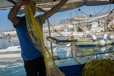 Diesem Fischer sind vor Kreta zwei Hasenkopf-Kugelfische ins Netz gegangen.