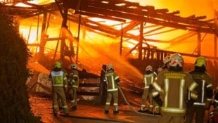 Rund 300 Einsatzkräfte standen im Einsatz.