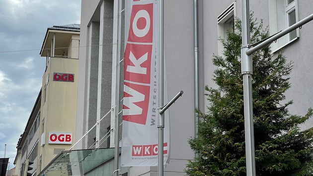 Ab 2028 muss die Kärntner Wirtschaftskammer mit weniger Geld auskommen.