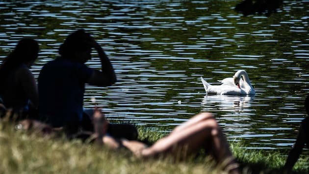 In Deutschland sind an einem einzigen Wochenende mindestens 26 Menschen bei Badeunfällen ums ...