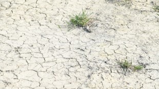 Die anhaltende Trockenheit lässt die Grundwasserspiegel sinken.