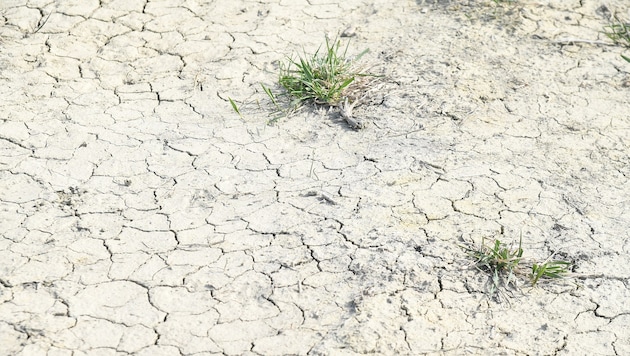 Die anhaltende Trockenheit lässt die Grundwasserspiegel sinken.