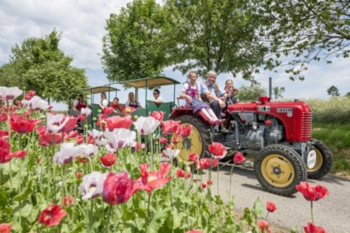 Mit dem Mohnexpress auf Entdeckungstour